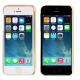 Coque iPhone 5/5S transparente oiseau