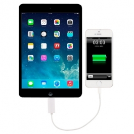 Câble de recharge lightning inter-iPhone / iPad 