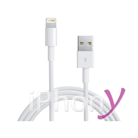 Cable Lightning Apple iPhone 6 (longueur au choix)