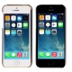 Coque iPhone 5/5S transparente oiseau couleur noir