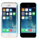 Coque iPhone 5/5S transparente oiseau couleur bleu