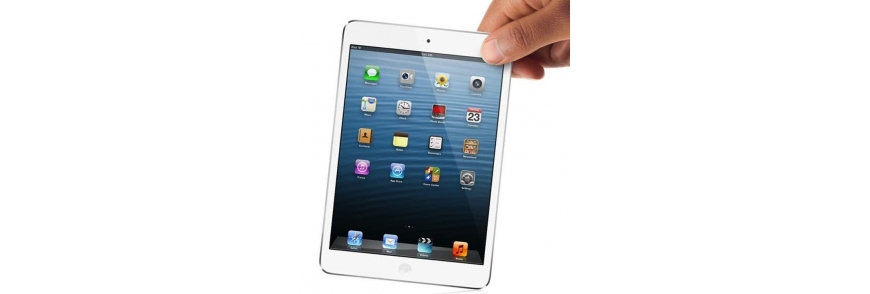 iPad Mini